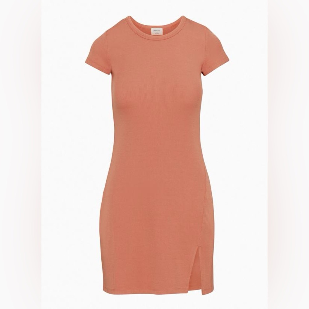 Aritzia Wilfred Free Burgundy T Shirt Summer Dress